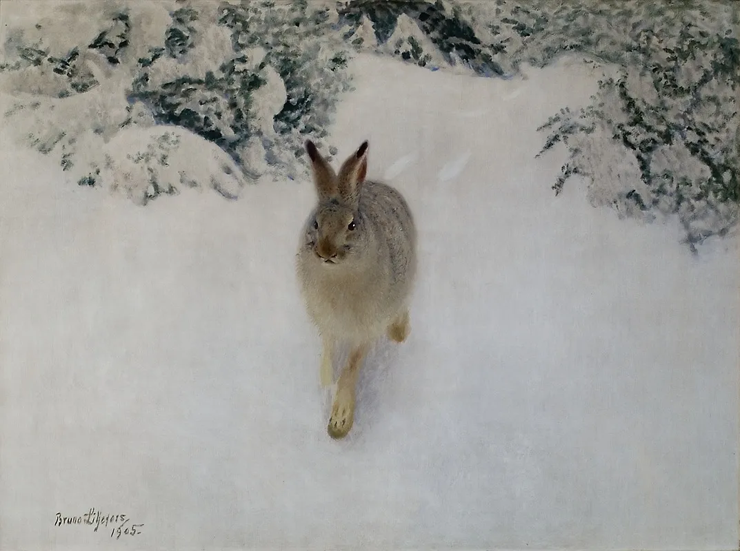 Hare In Winter by Bruno Liljefors - Canvas Print
