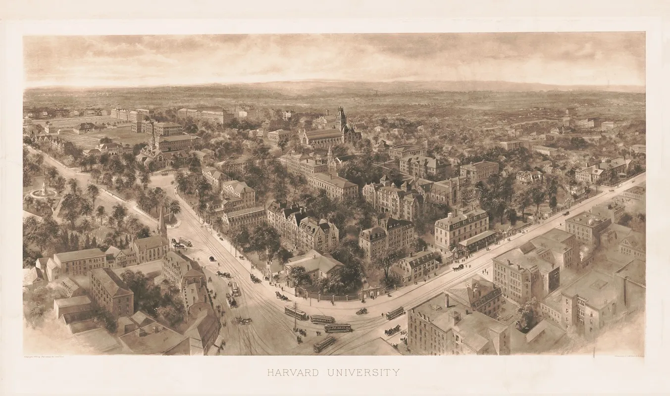 Harvard University by Richard Rummell - Canvas Print