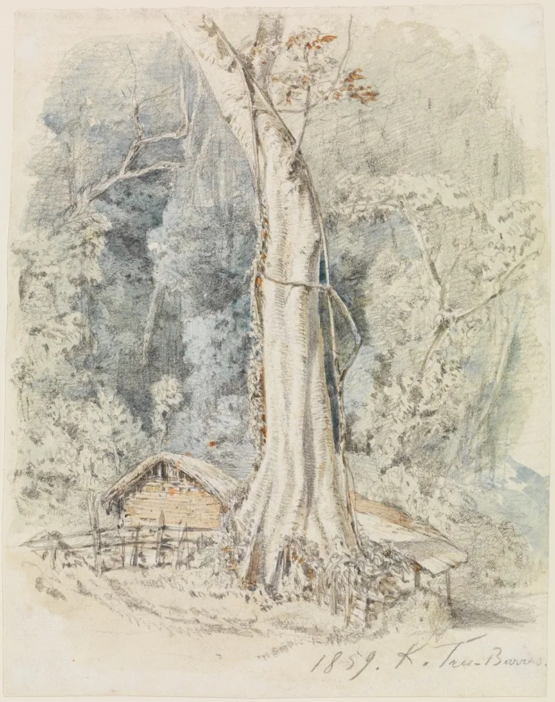 Haus Mit Unterstand Im Urwald Bei Tres Barras