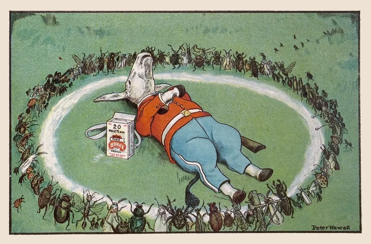 He Rested In A Borax Ring To Keep The Bugs Away