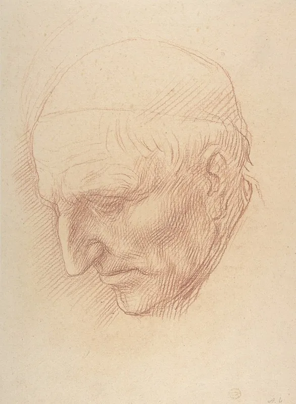 Head Of A Beadle
