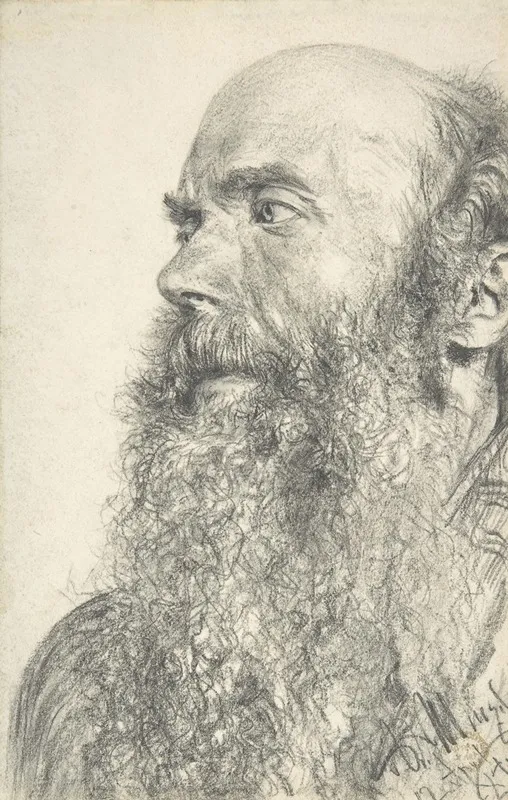Head Of A Bearded Man 11
