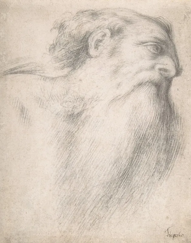 Head Of A Bearded Man 15