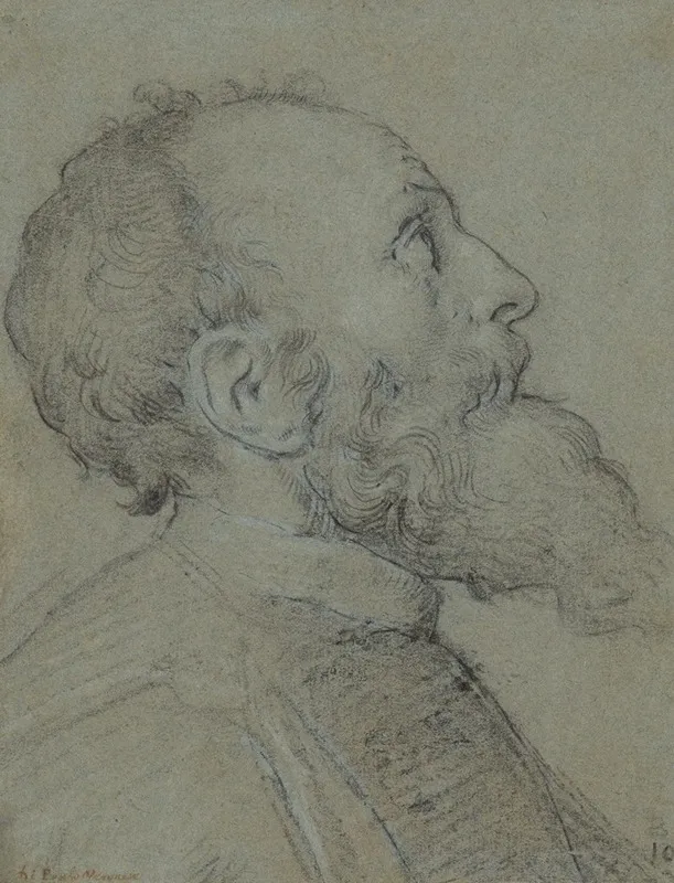 Head Of A Bearded Man 20