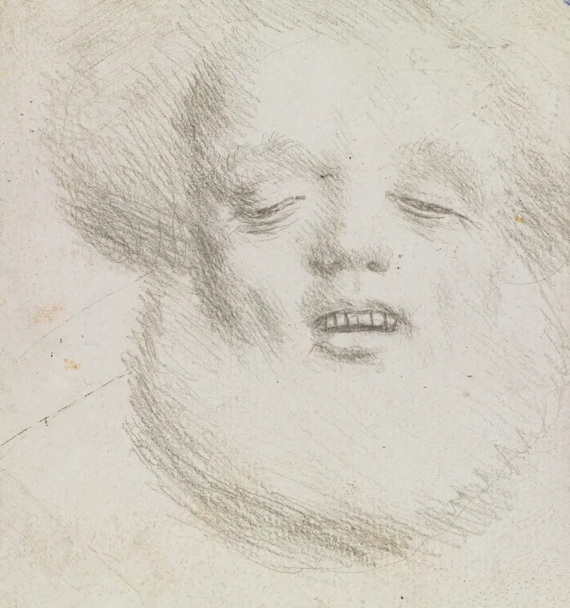Head Of A Bearded Man En Face Seen From Below