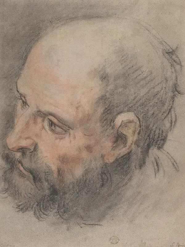 Head Of A Bearded Man Looking Left by François Lemoyne - Canvas Print
