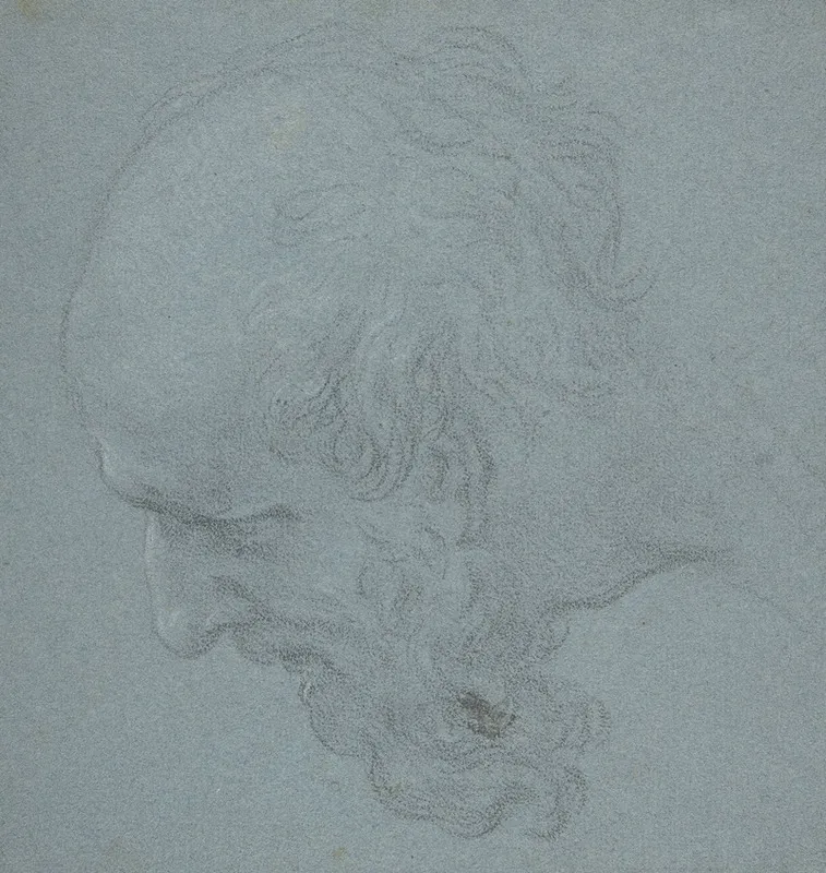 Head Of A Bearded Man Looking To Upper Left