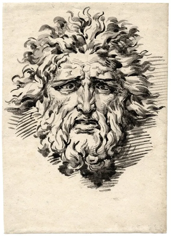 Head Of A Bearded Man With A Frightened Expression by David Humbert de Superville - Canvas Print