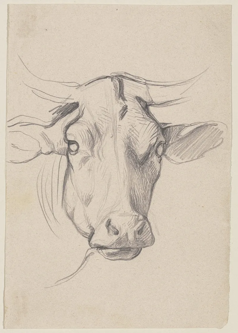 Head Of A Cow by Jakob Becker - Canvas Print
