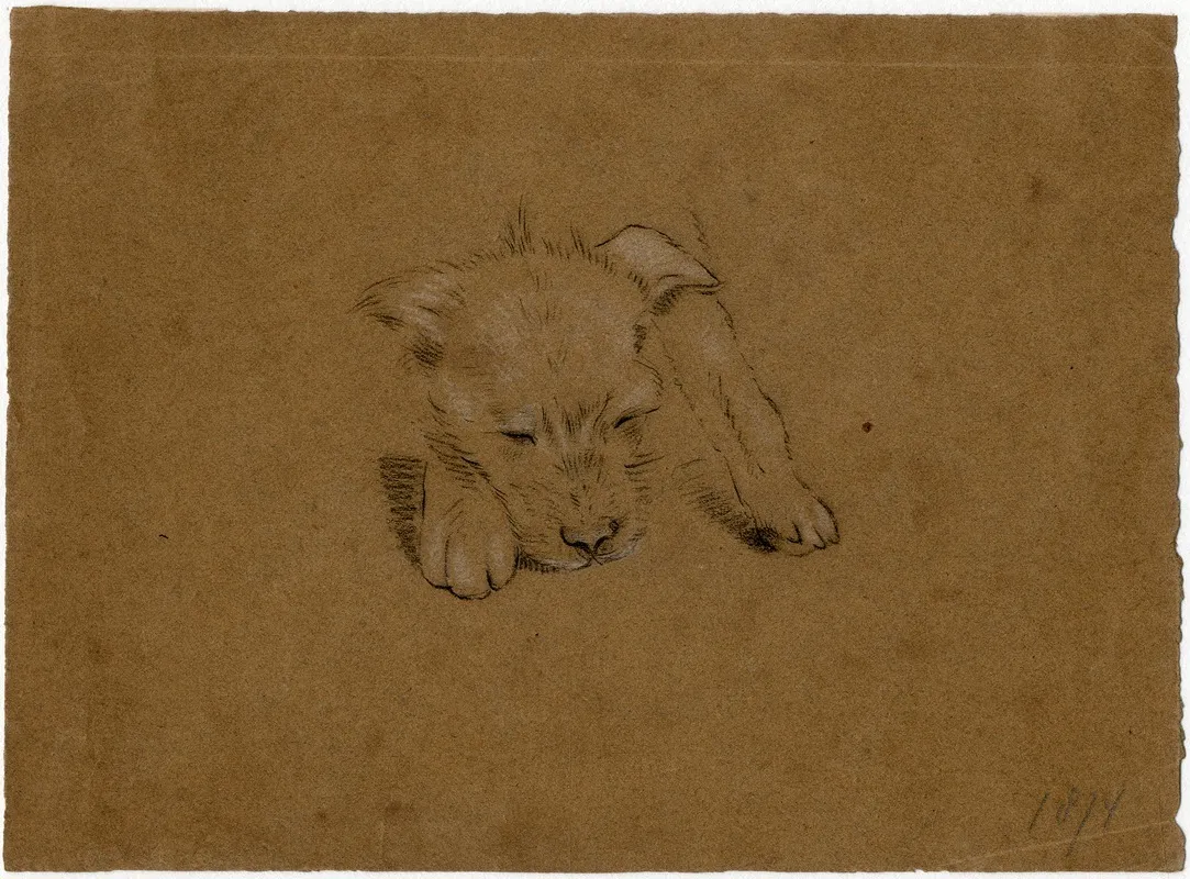 Head Of A Dog 4