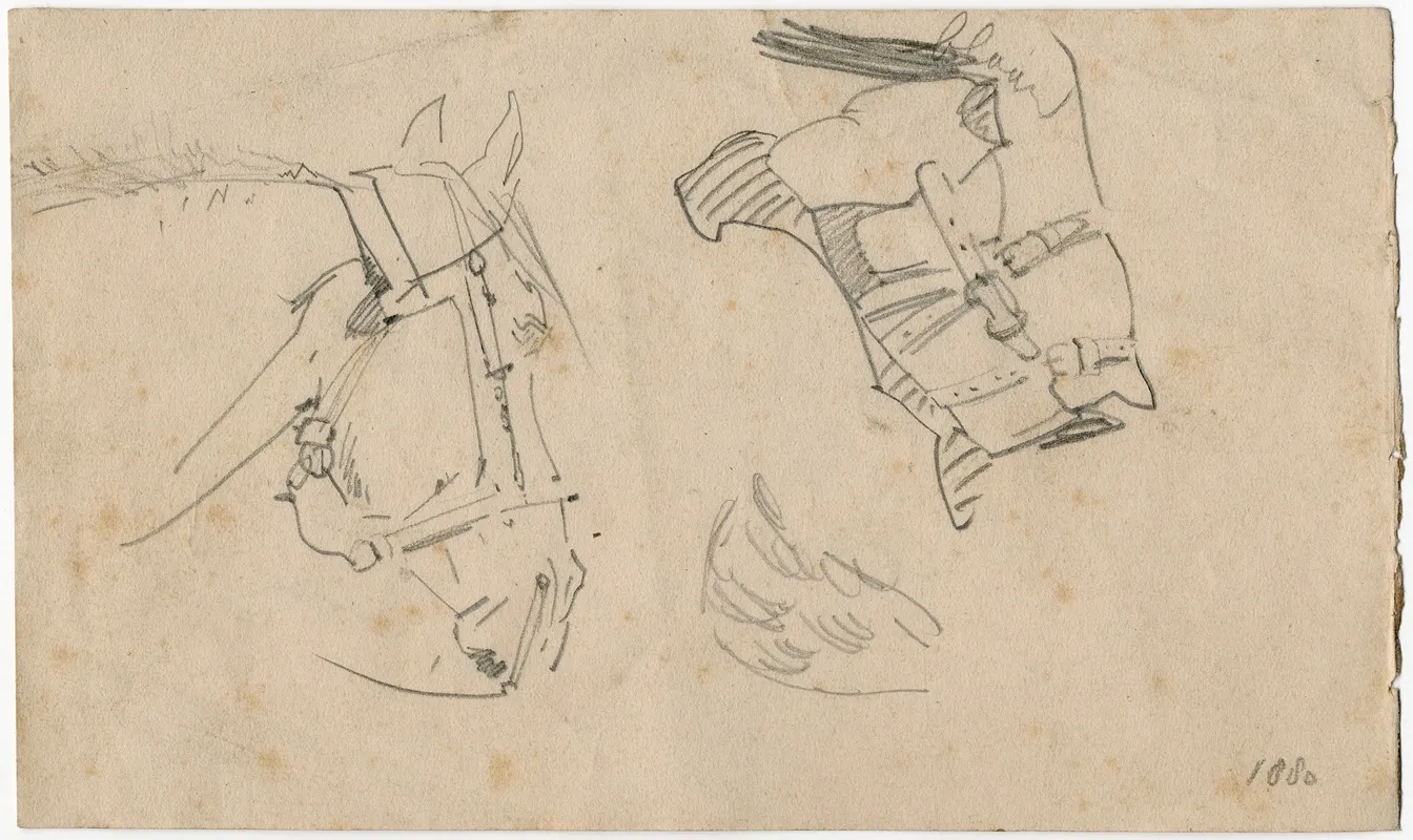 Head Of A Horse 4