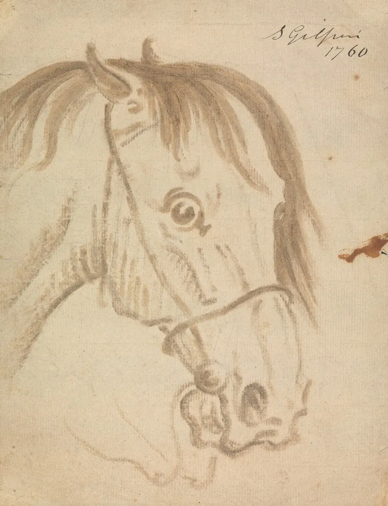 Head Of A Horse 7