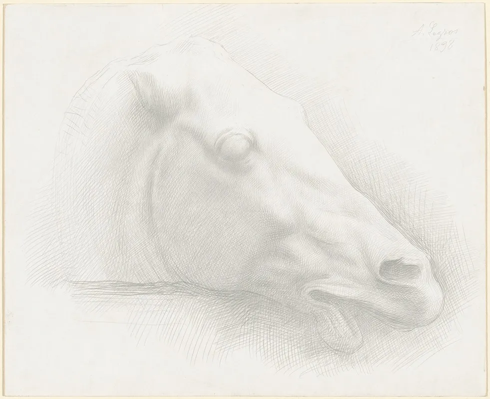 Head Of A Horse From The Parthenon