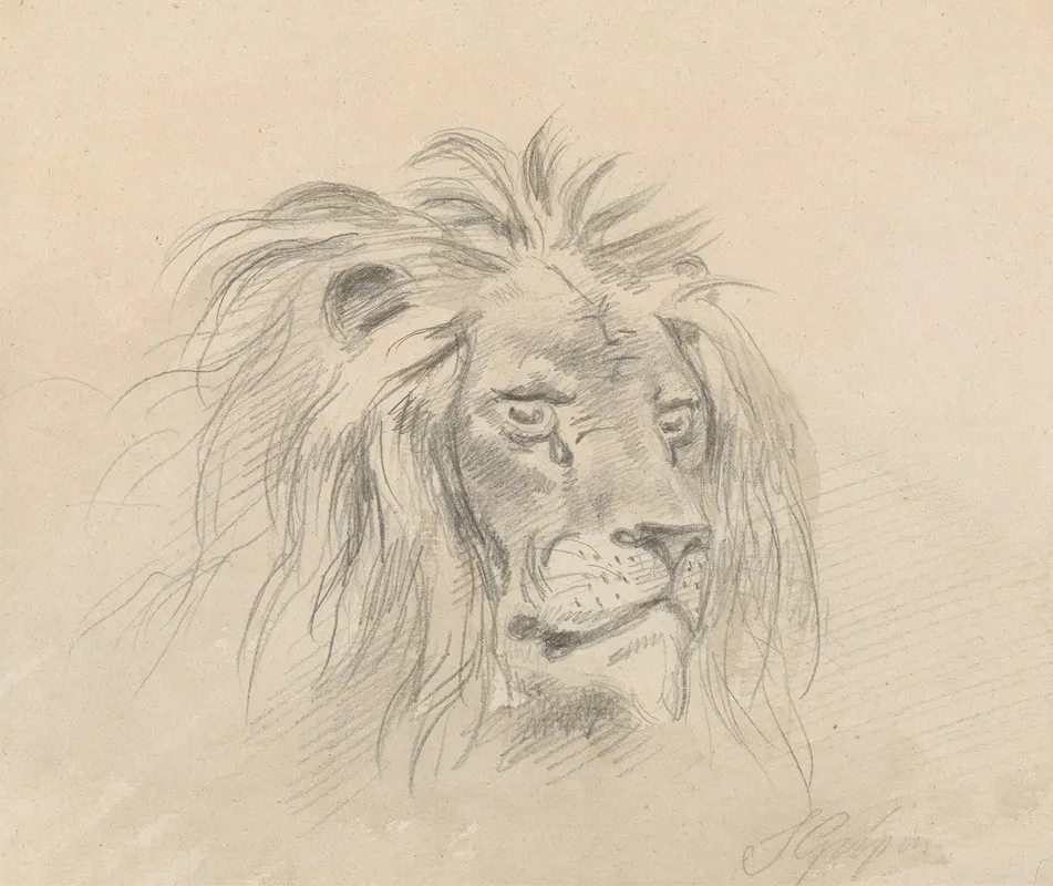 Head Of A Lion 2