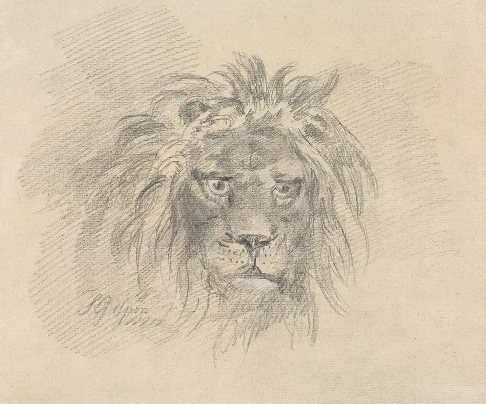Head Of A Lion 3