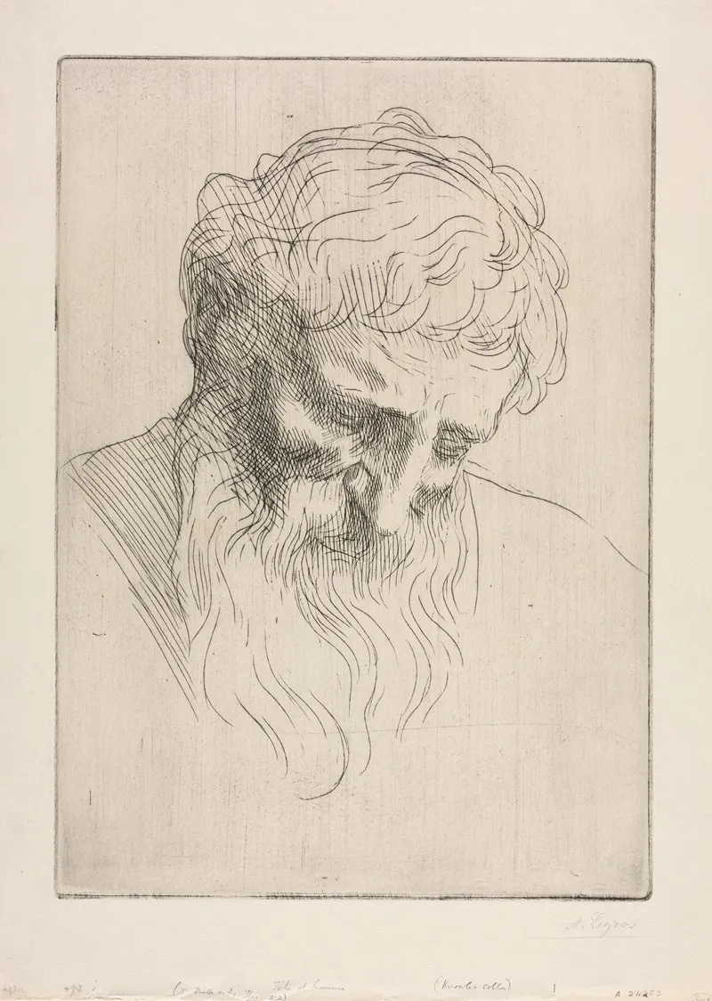Head Of A Man 3 2