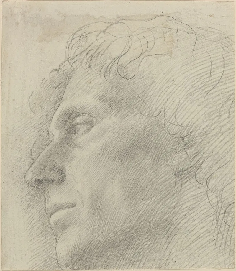 Head Of A Man Facing Left Ii