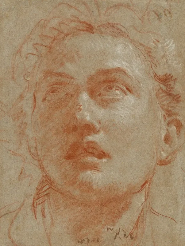 Head Of A Man Looking Up 2