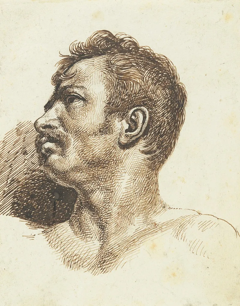 Head Of A Man Recto