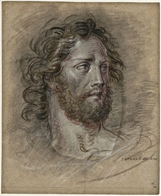 Head Of A Man With A Beard 2