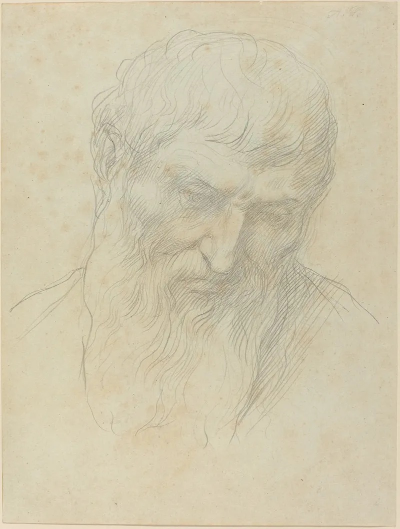 Head Of A Man With Curly Hair And Beard