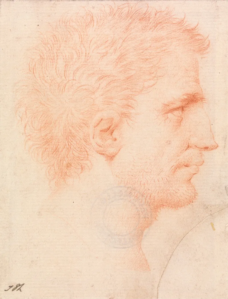 Head Of A Man With Stubble Beard Facing Right