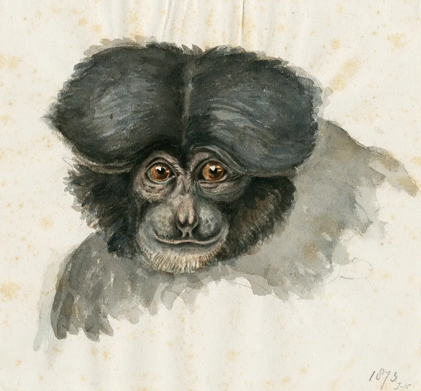 Head Of A Monkey