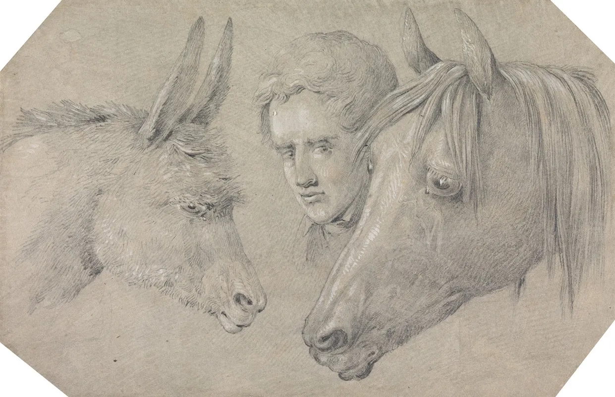 Head Of A Stable Lad Looking Between The Heads Of A Horse On His Left And A Donkey On His Right