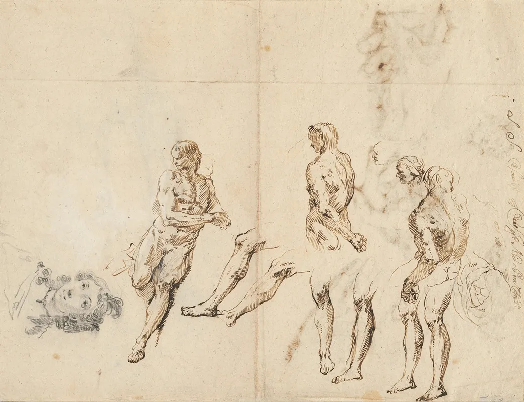 Head Of A Woman And Studies Of A Male Nude Verso