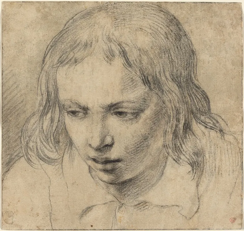 Head Of A Young Man Recto 2 by Dutch 17th Century - Canvas Print
