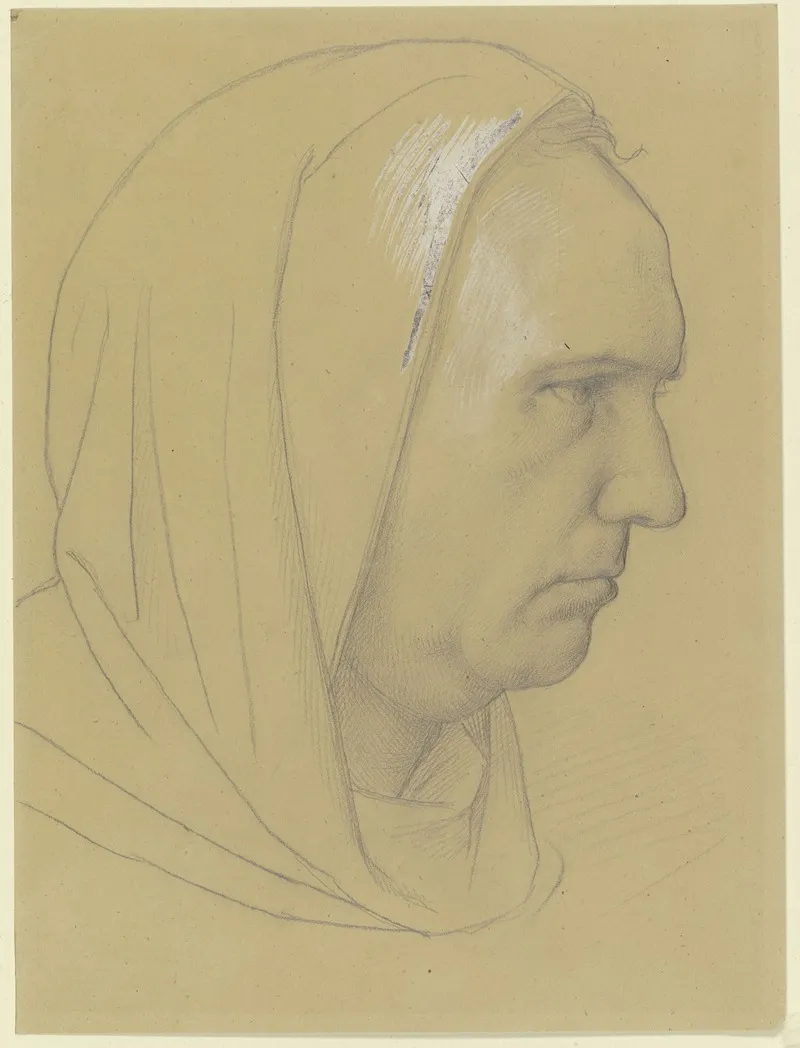 Head Of Albertus Magnus