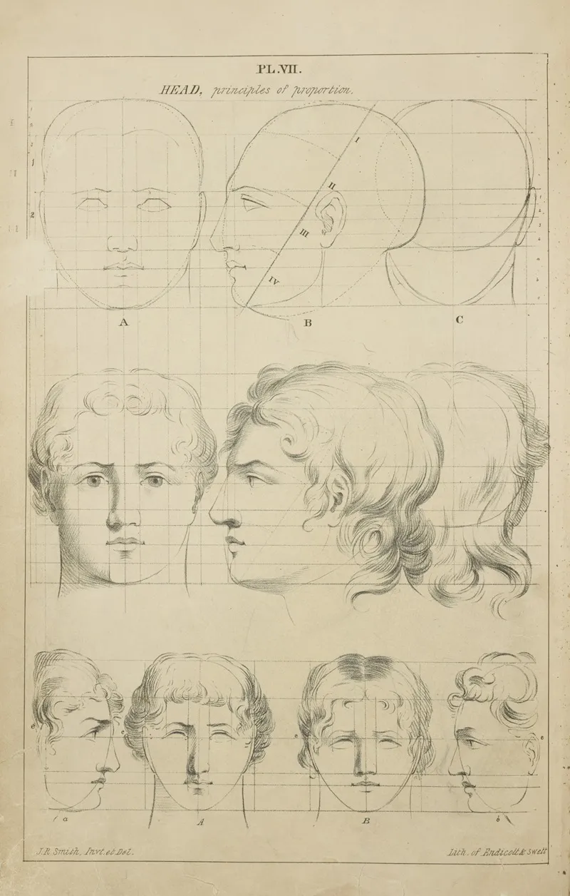 Heads Principles Of Proportion