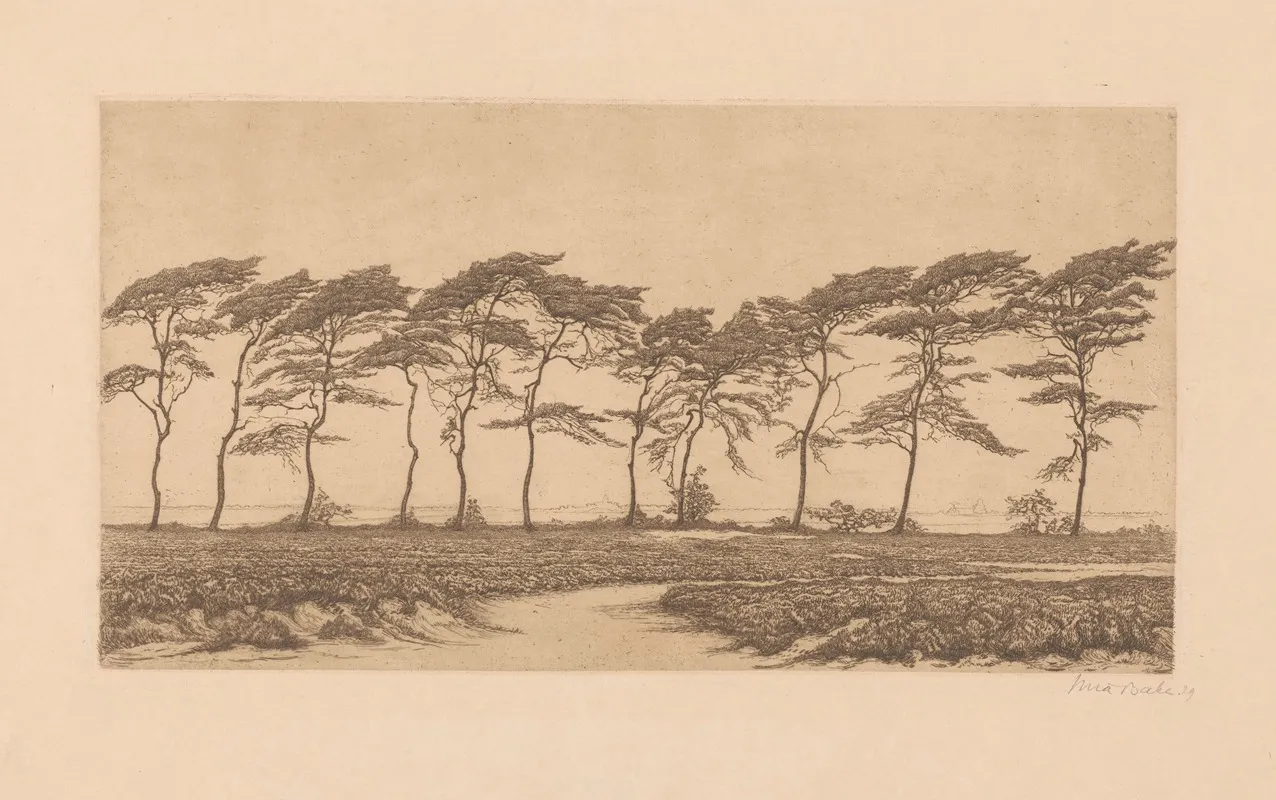 Heidelandschap 2 by Mia Bake - Canvas Print