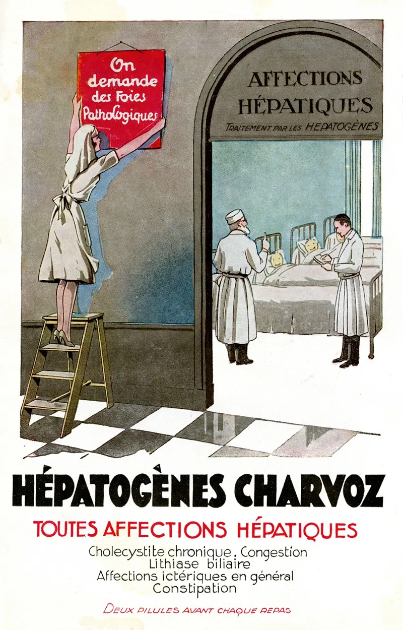 Hepatogenes Charvoz 4