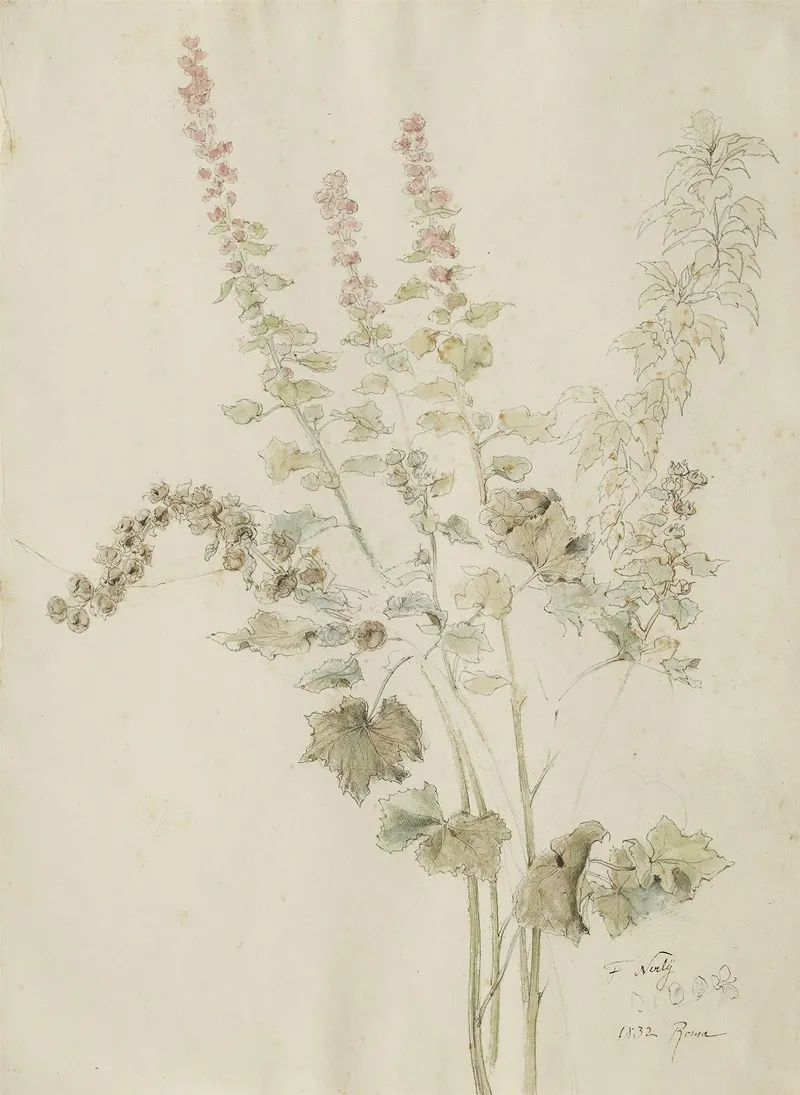 Herbstliche Malvenbluten by Friedrich Nerly - Canvas Print