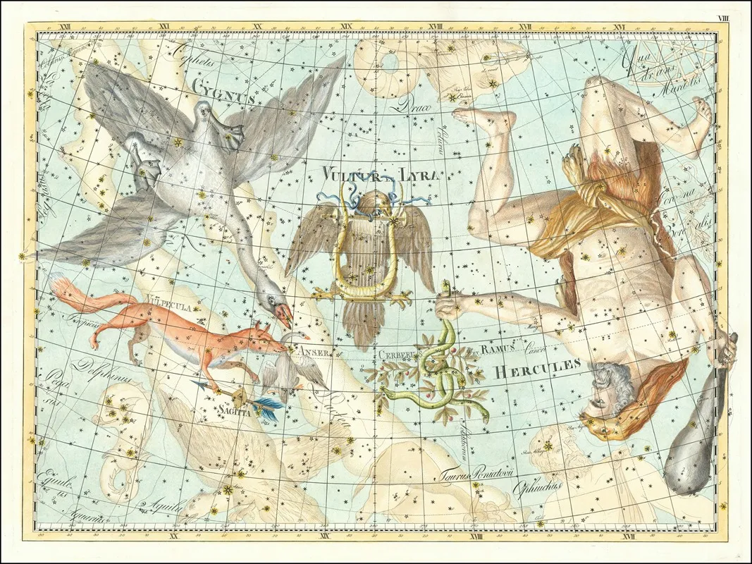 Hercules Cygnus Coelum Stellatum by Johann Elert Bode - Canvas Print