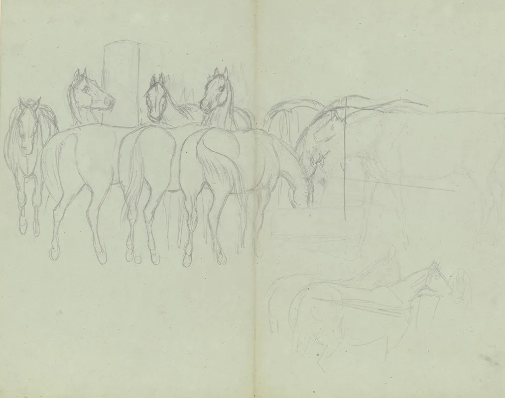 Herd Of Horses Grazing