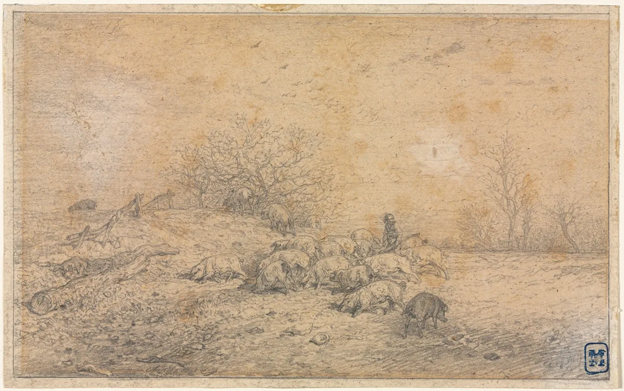 Herd Of Pigs