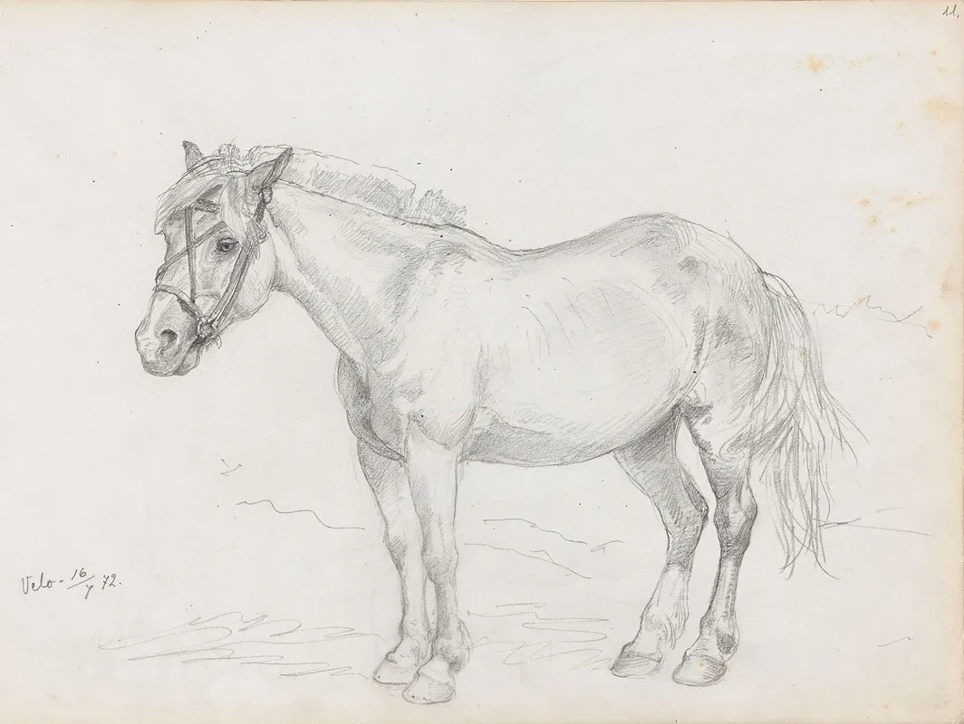 Hest Velo