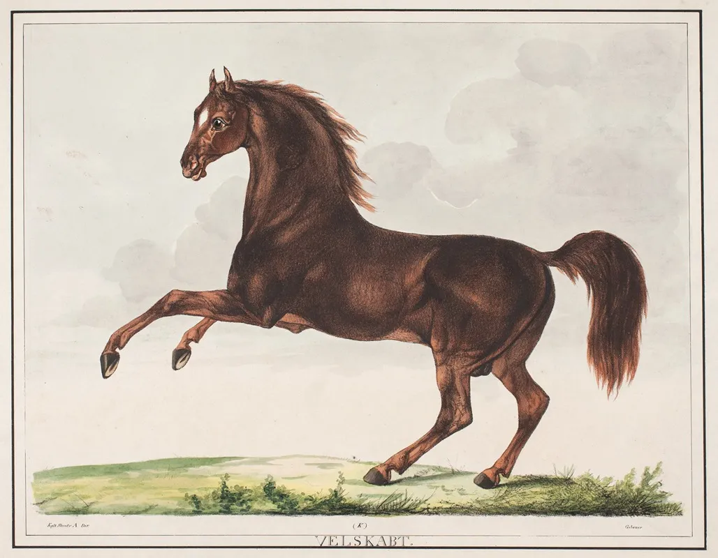 Hesten Velskabt