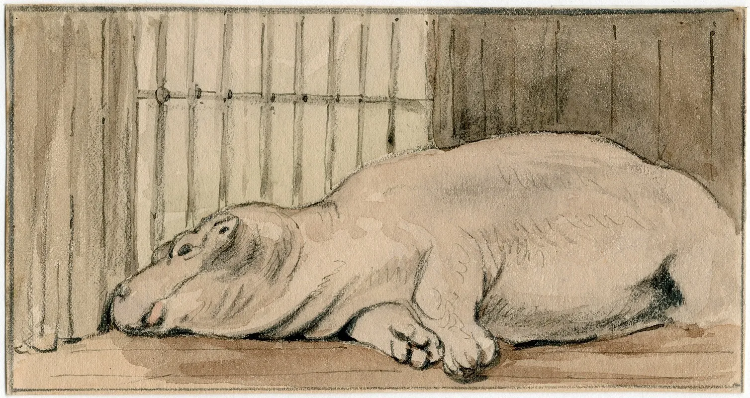 Het Nijlpaard In De Engelse Dierentuin 3