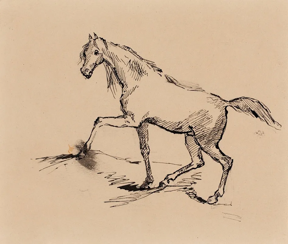 Hevonen Luonnos by Helene Schjerfbeck - Canvas Print