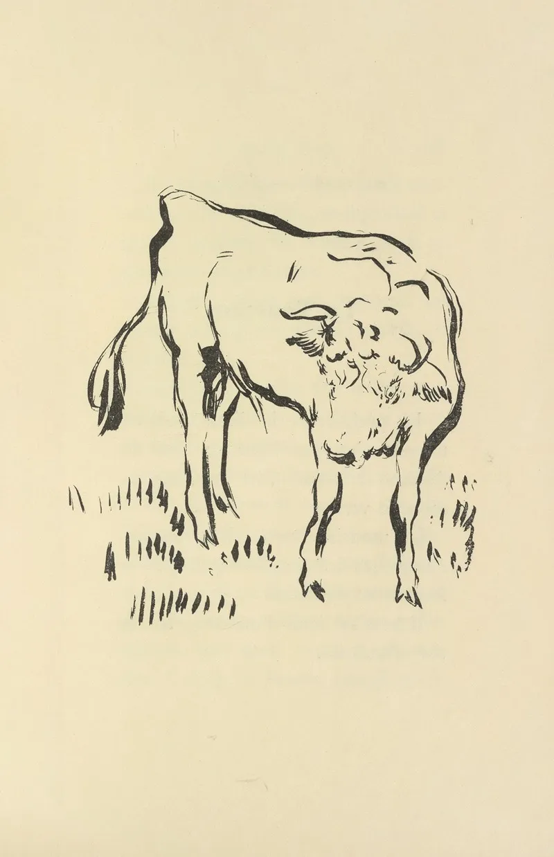 Histoires Naturelles Pl 20