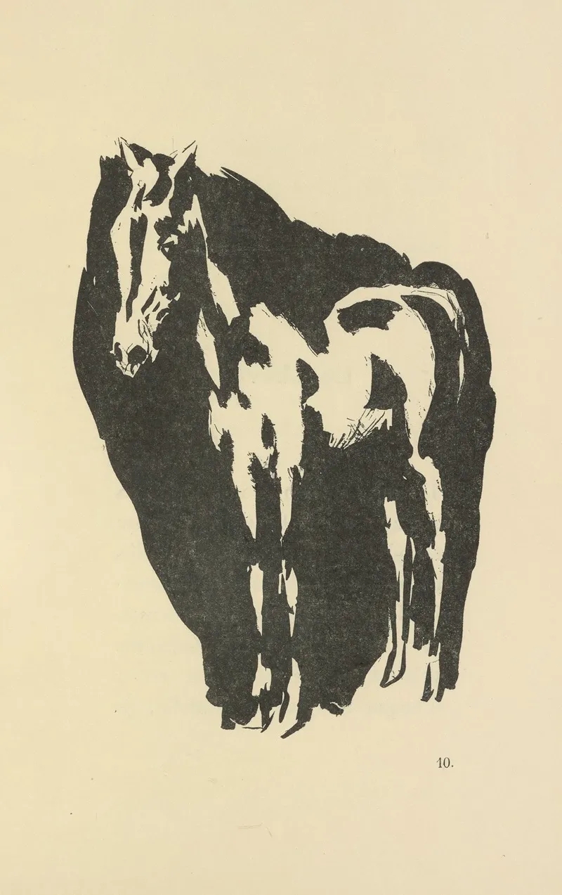 Histoires Naturelles Pl 21