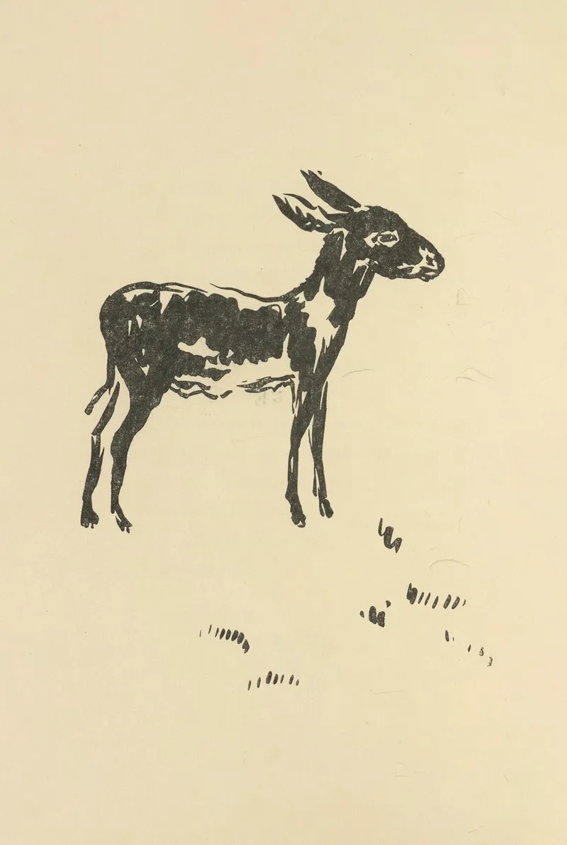 Histoires Naturelles Pl 22
