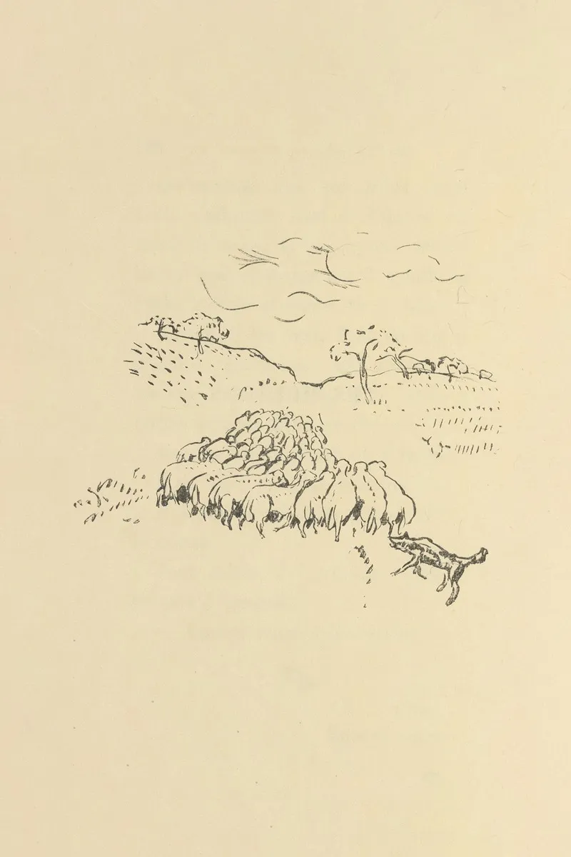 Histoires Naturelles Pl 24