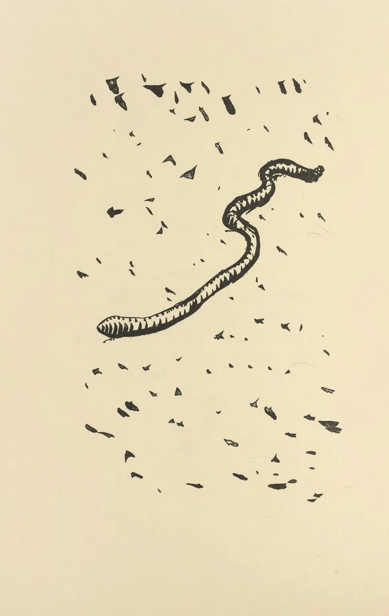 Histoires Naturelles Pl 29