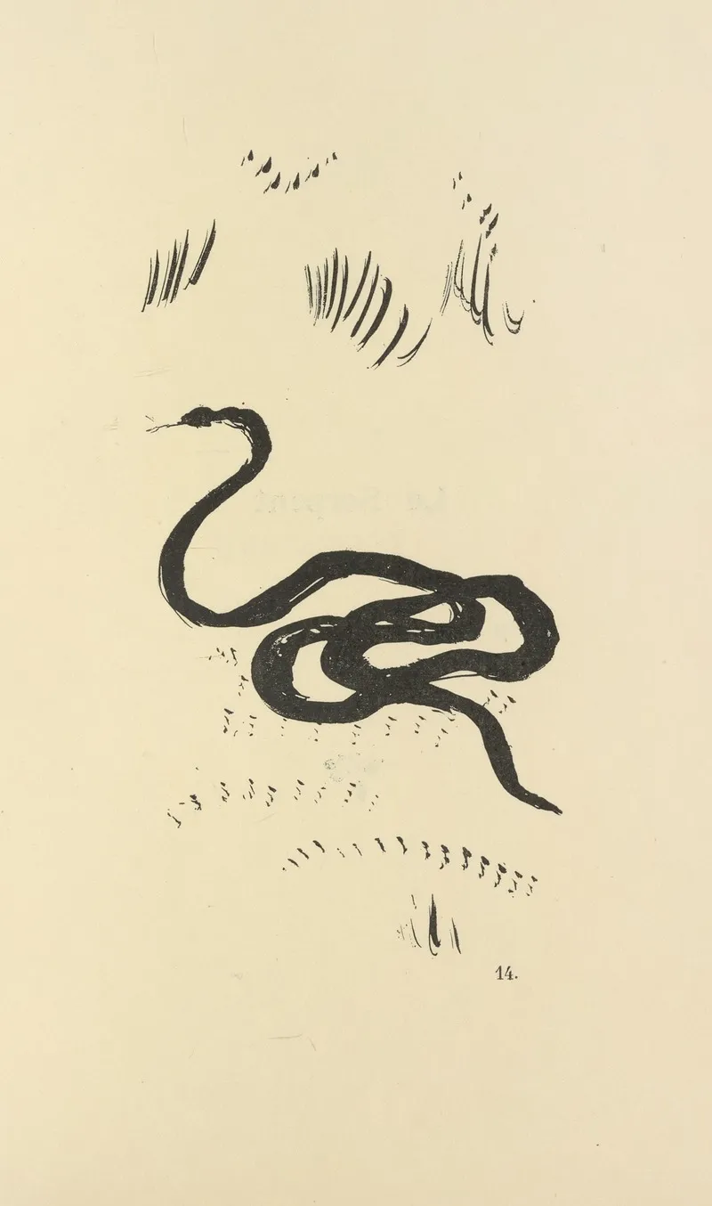 Histoires Naturelles Pl 30