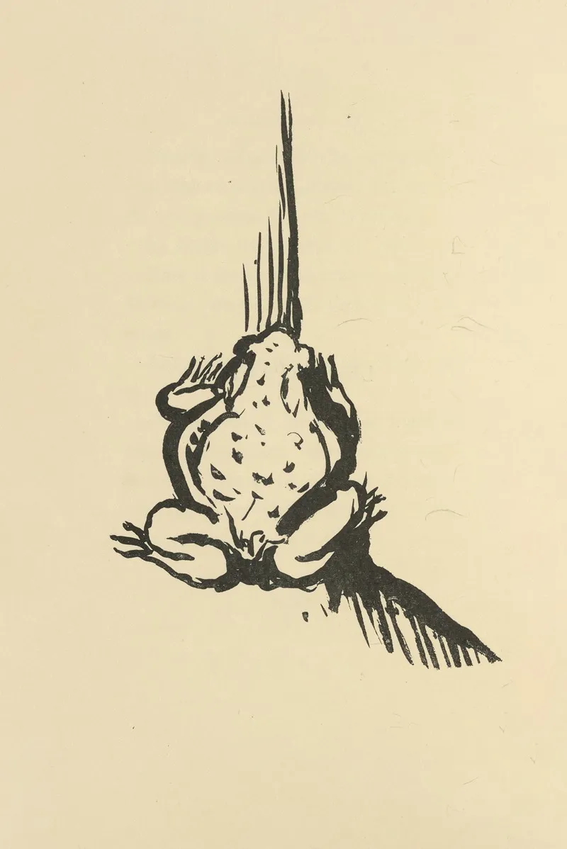 Histoires Naturelles Pl 34