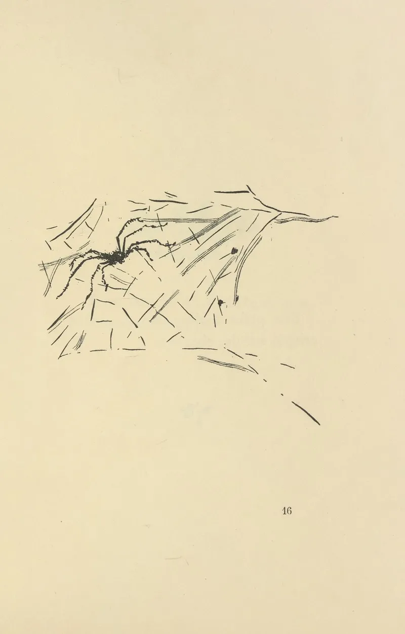 Histoires Naturelles Pl 35
